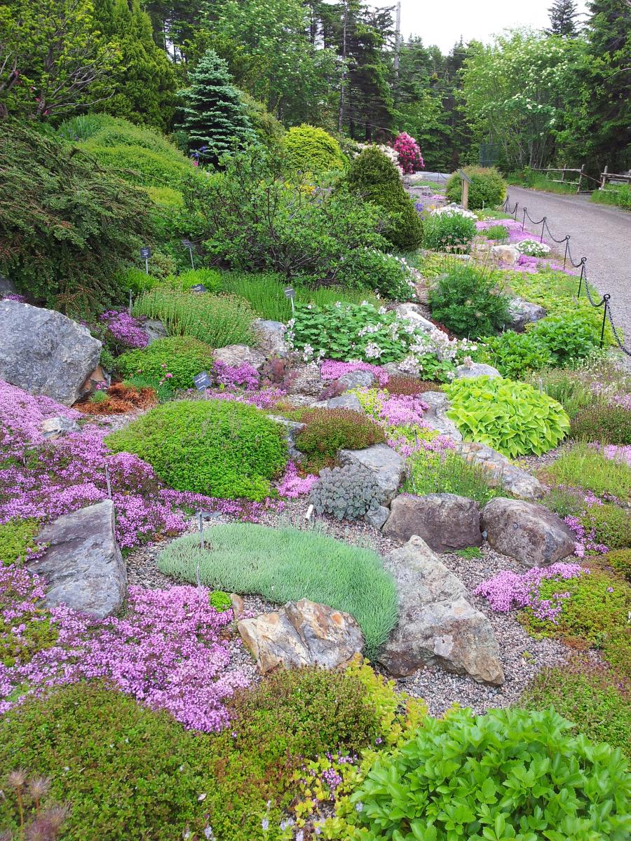 Memorial University of Newfoundland Botanical Garden