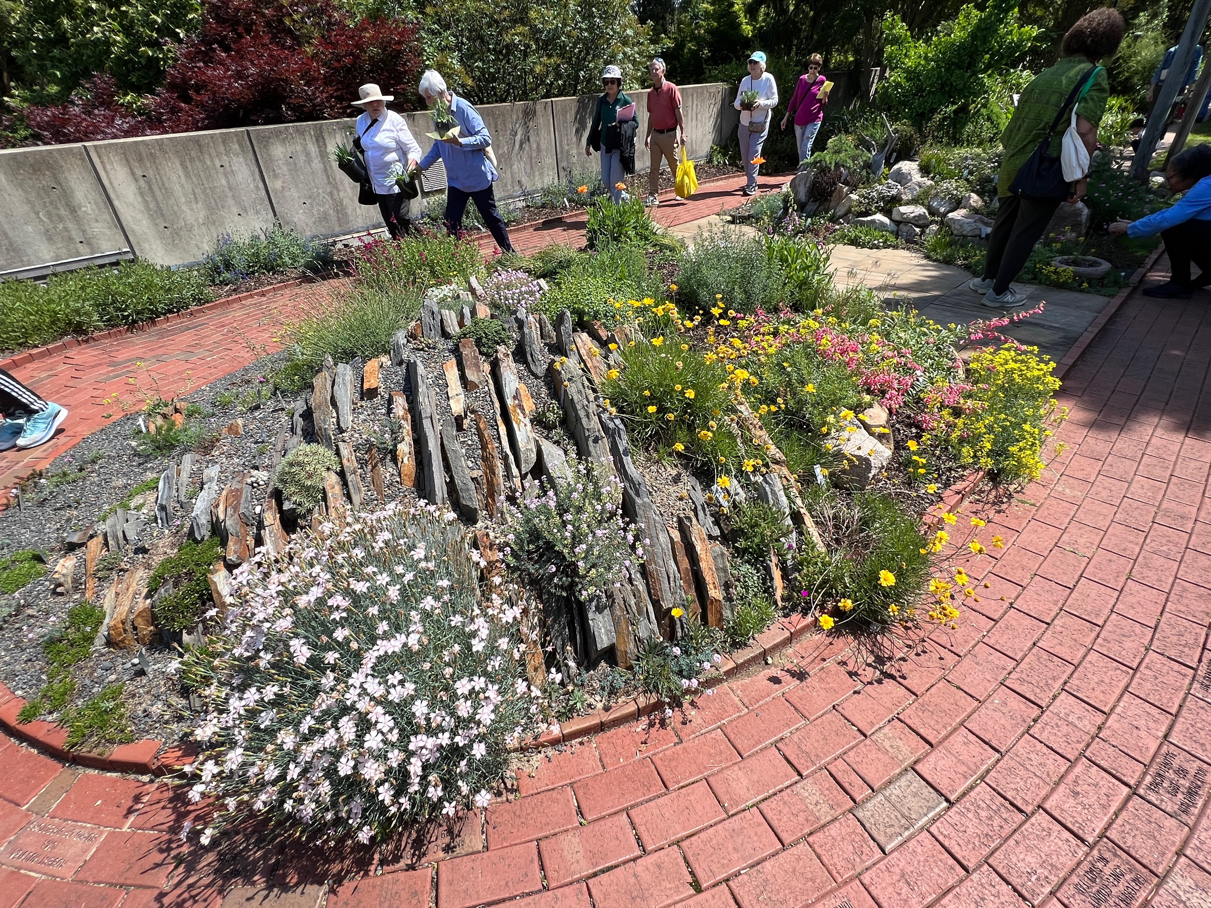 Kenton Seth Crevice Garden