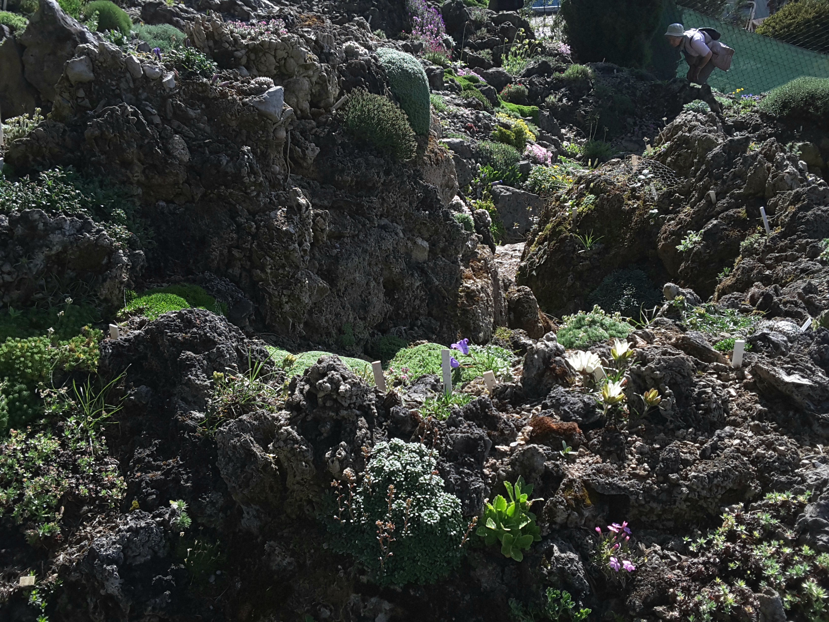 Cepicka Tufa Topography