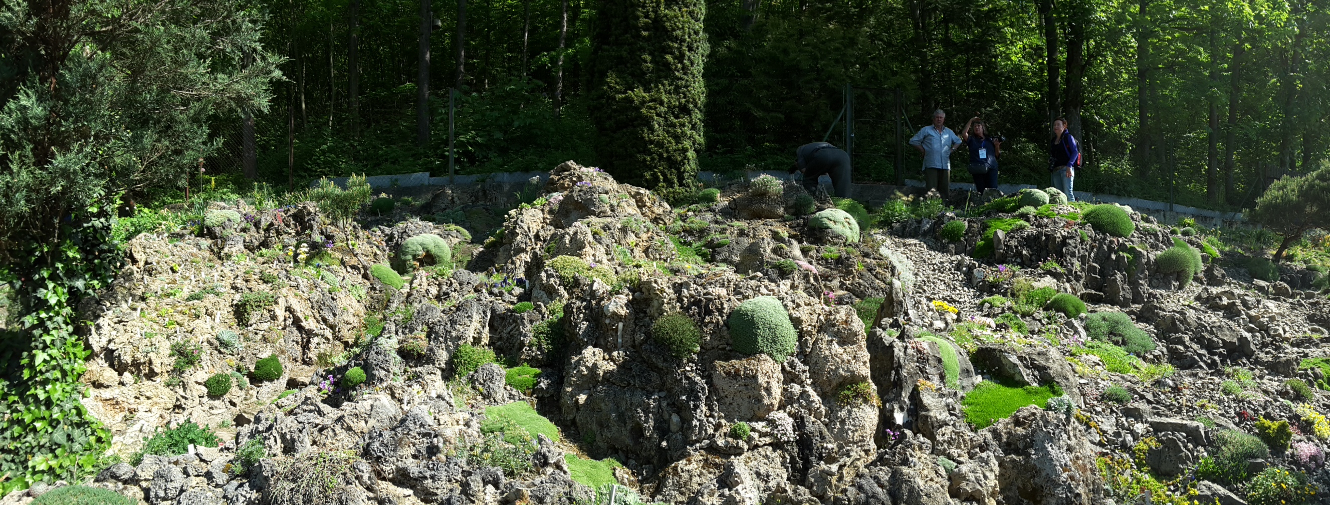 Cepicka Crevice Panorama