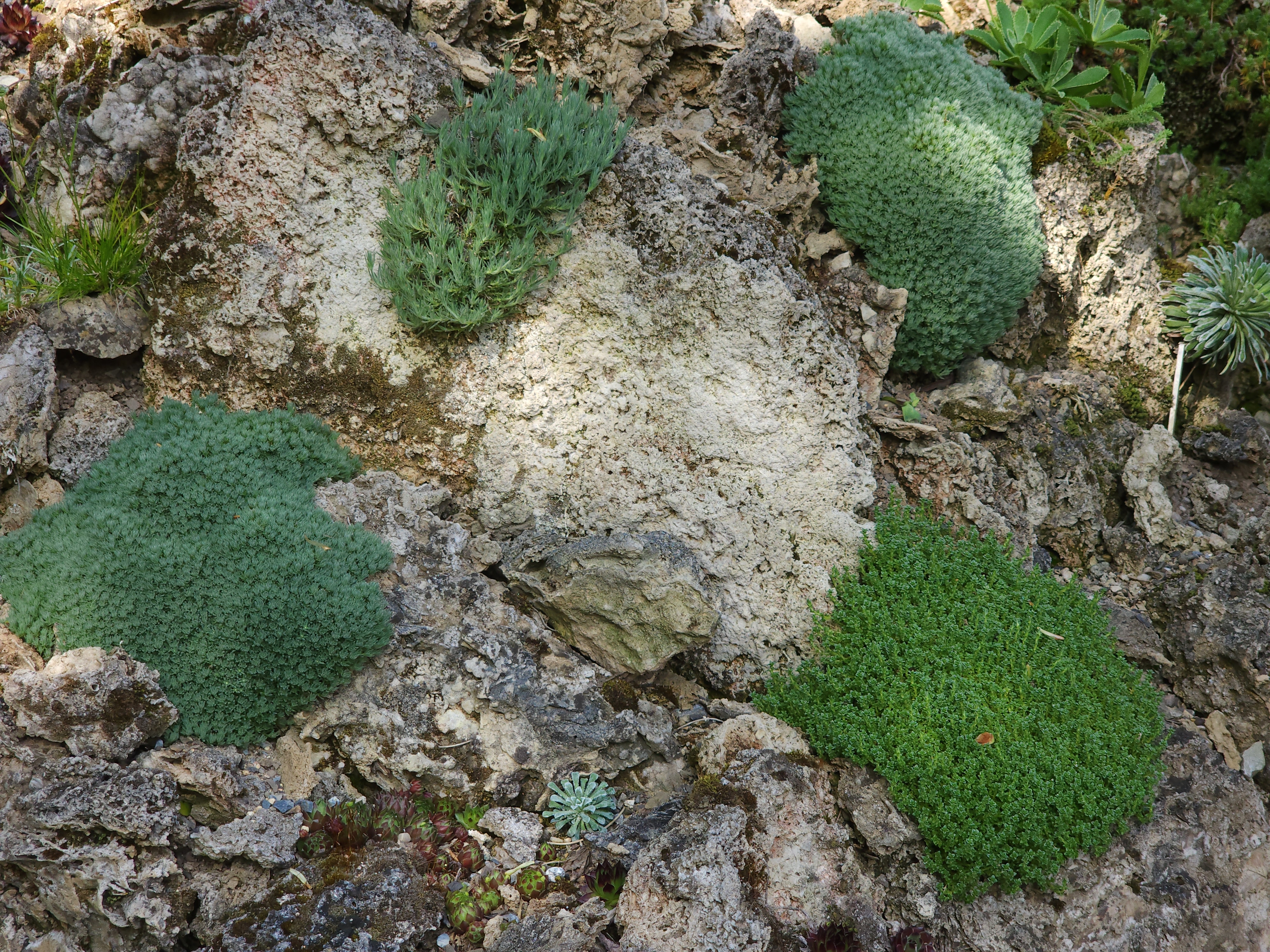 Cepicka Cushions on Tufa