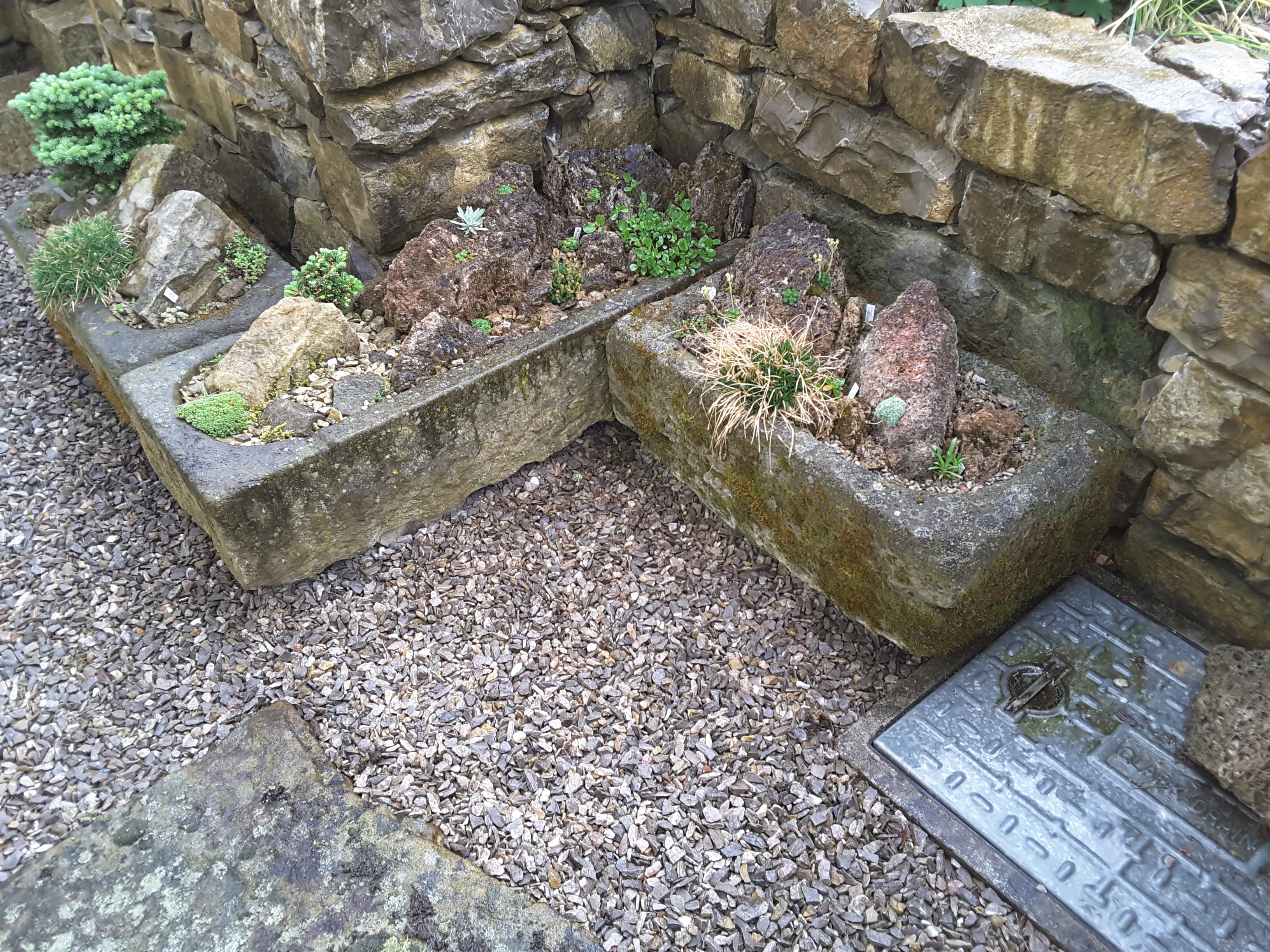 Brejnik Trough Display