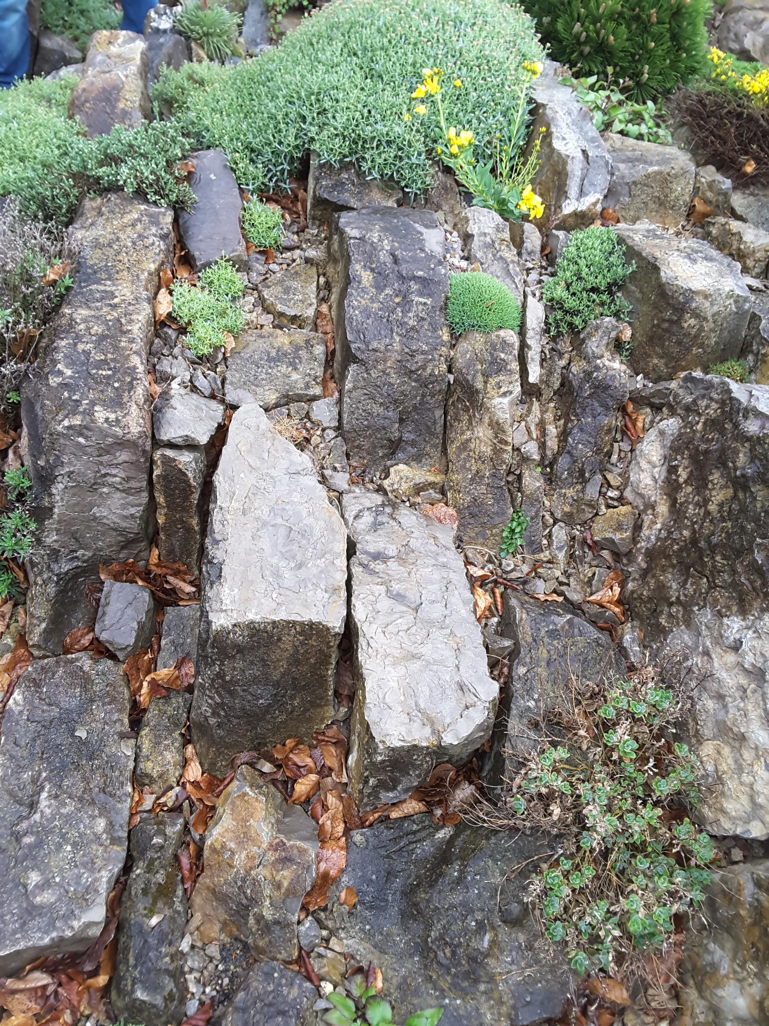 Brejnik Crevice Garden Rockwork