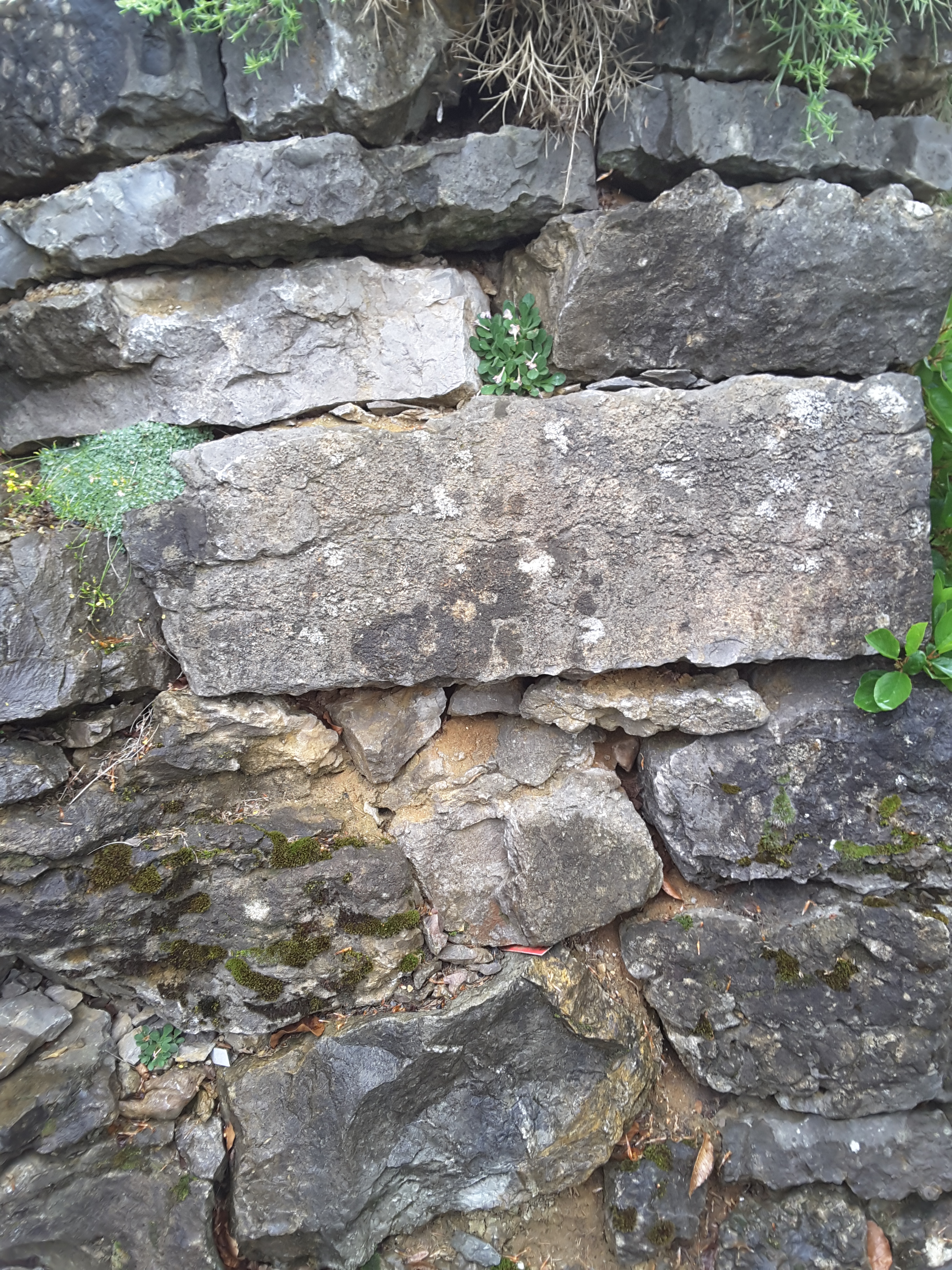 Brejnik Horizontal Crevices