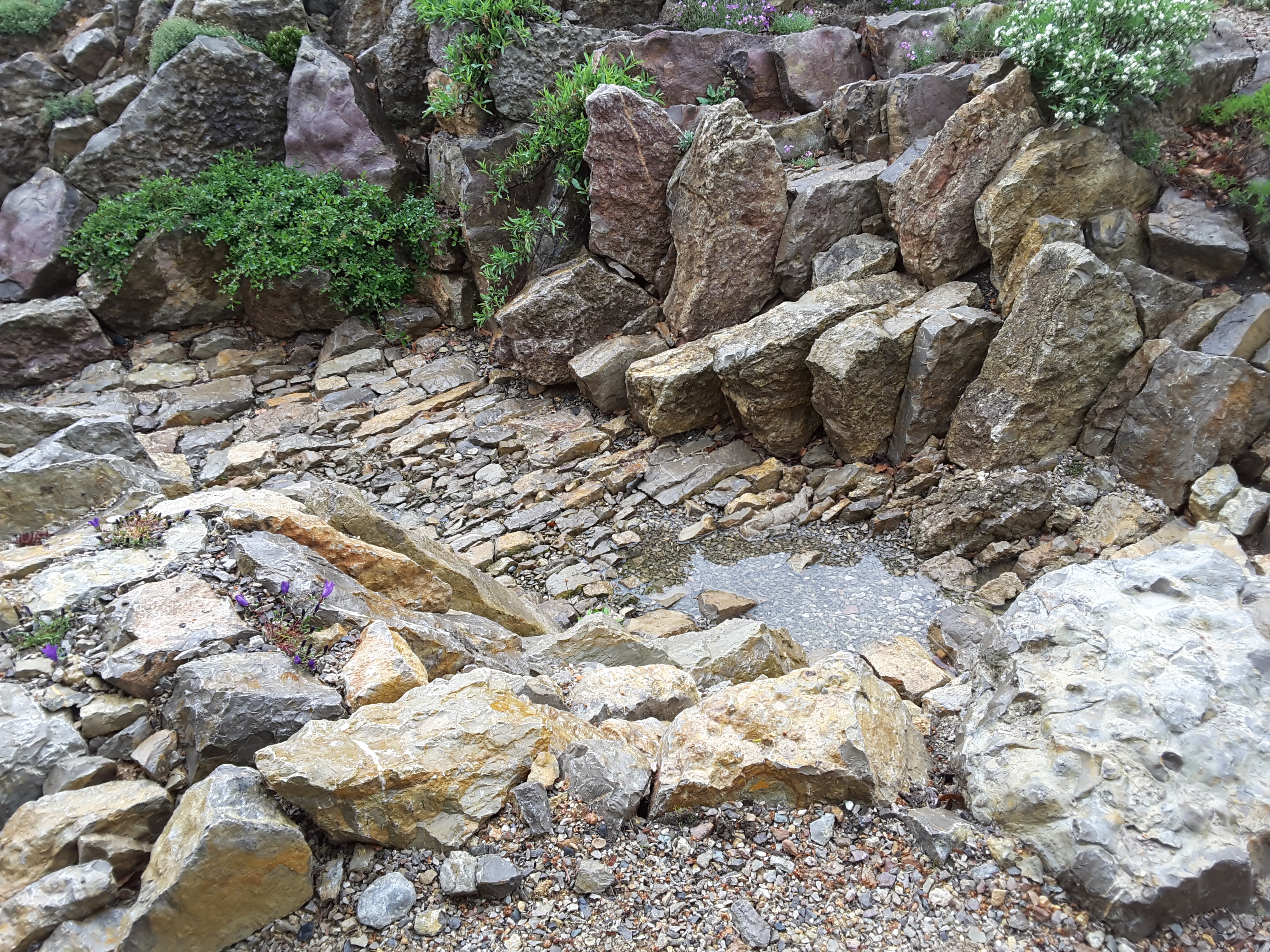 Brejnik Crevice Garden Canyon Overview
