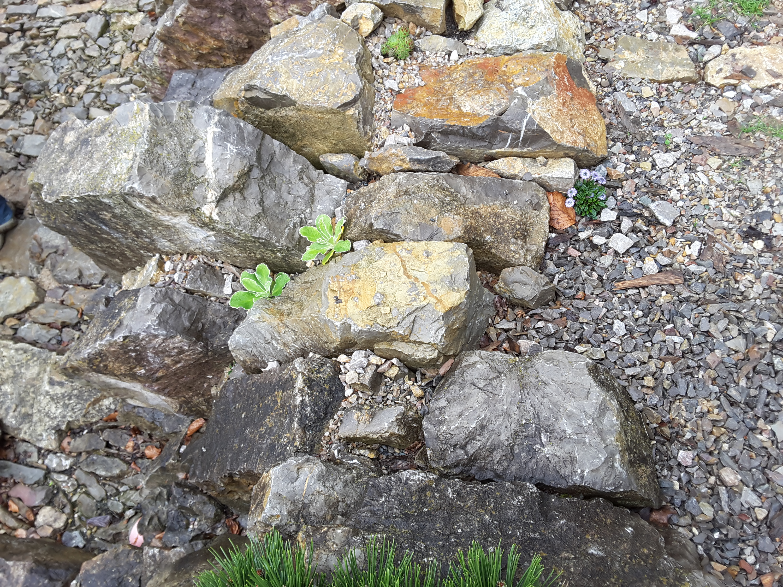 Brejnik Thicker Crevice Rocks