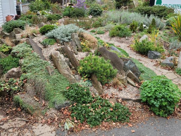 Talk by Anne Speigel