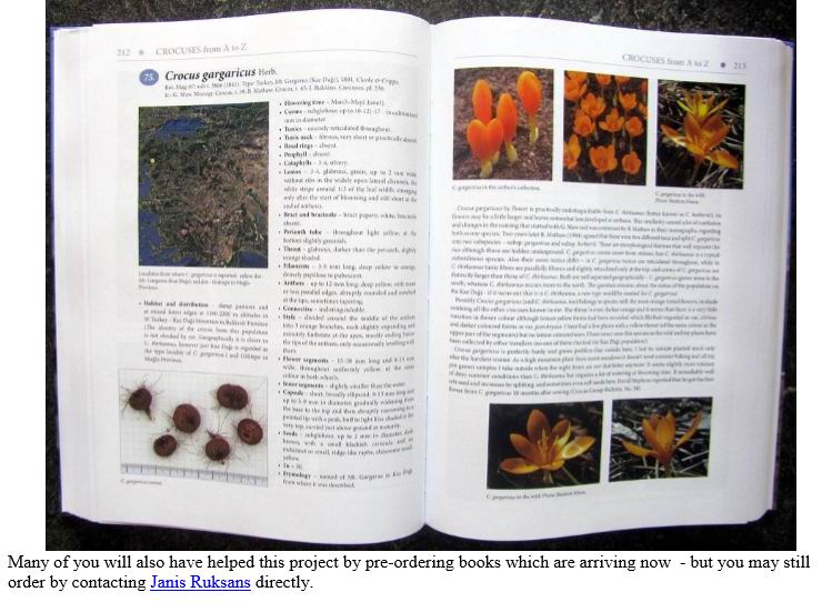 sample pages from Janis book pages from Janis book