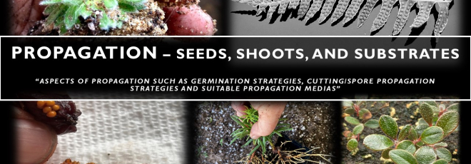 Propagation - Seeds, Shoots, and Substrate