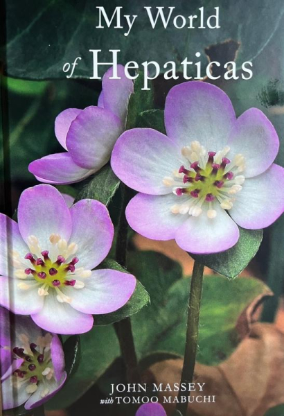 My Worldof Hepaticas