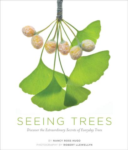Seeing Trees book cover