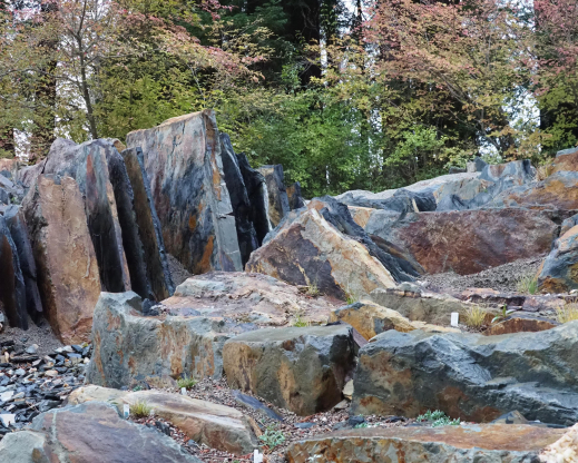 The new crevice garden ready for planting.