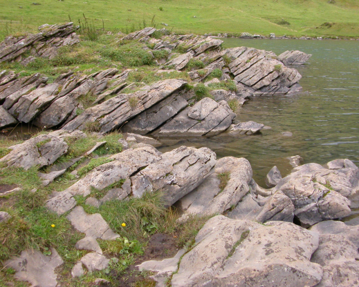 This natural rock formation along the shore of Lake Engstlensee in the Swiss Alps is a picturesque example of a natural damp rock garden.