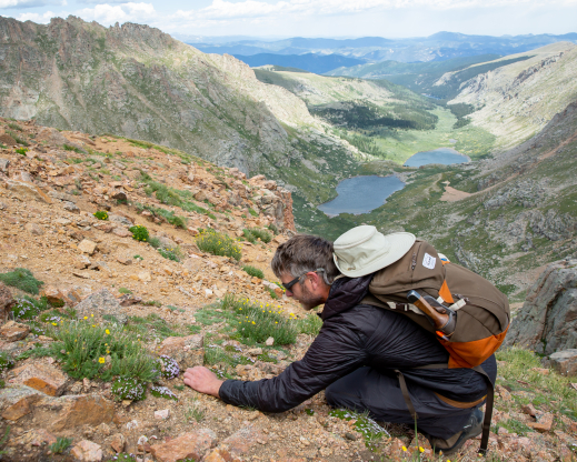 Nick Courtens in the field 