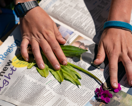 Preparing an herbarium specimen of Primula parryi in the field. Photo: Dominique Taylor Preparing an herbarium specimen of Primula parryi in the field. Photo: Dominique Taylor