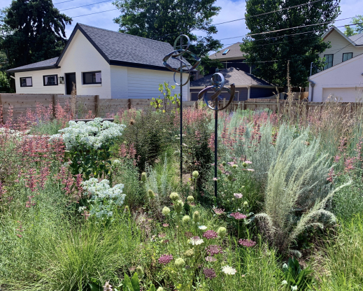 Kinetic sculptures with the free-moving Artemisia filifolia  and rigid Euphorbia marginata 