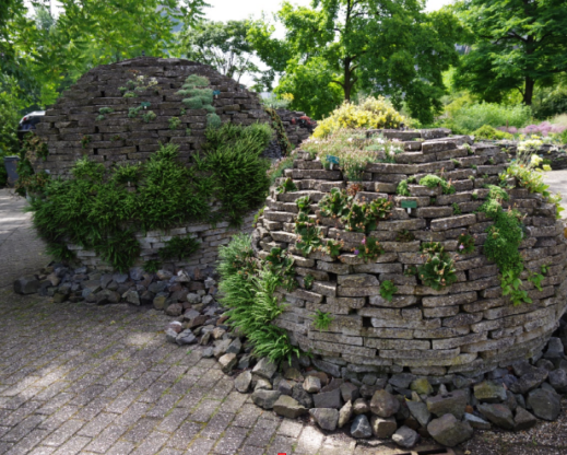 The spheres, summer 2020. I am hoping to redo and replant them soon