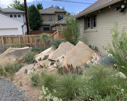 The xeric crevice garden in September of 2021 