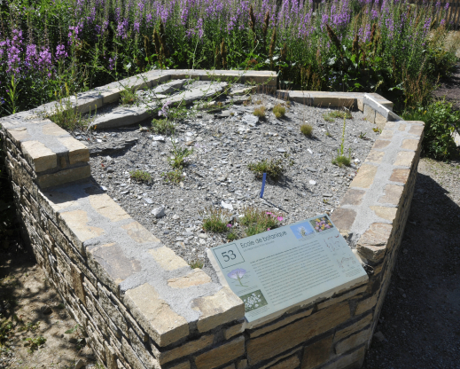 An educational bed in the new  école de botanique