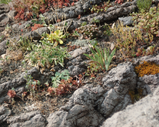 The “bench” outcropping mimics natural rock formations The “bench” outcropping mimics natural rock formations