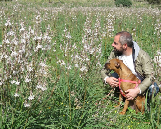 Dariotis admiring wild flowers with a canine companion Dariotis admiring wild flowers with a canine companion