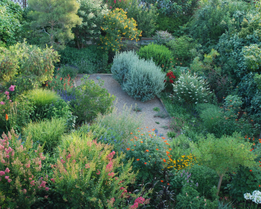 View of the garden from above