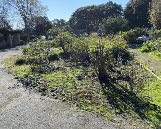 Site of the future rock garden before construction began Site of the future rock garden before construction began
