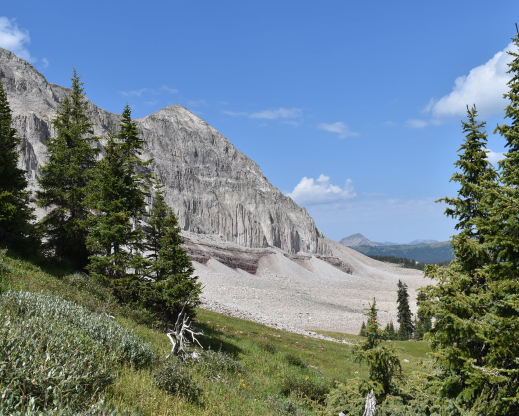 Hiking Engineer Mountain