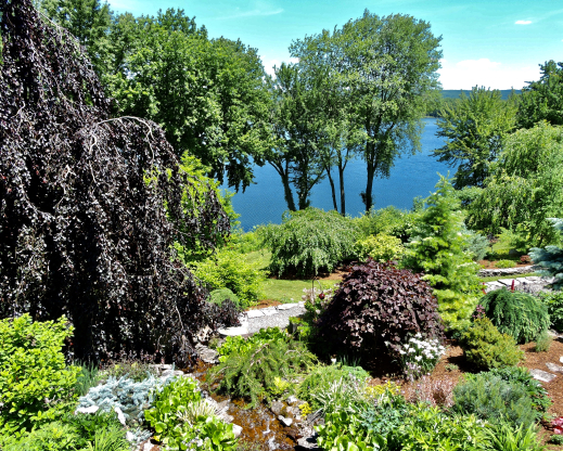 Garden with lake views, Photo by George Fearon