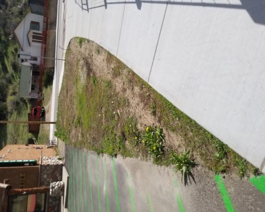 The space before the garden construction began