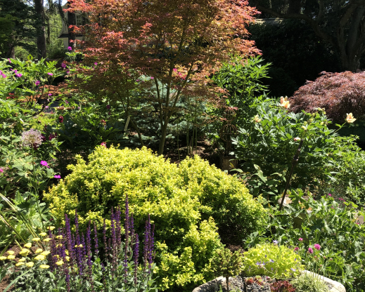 Marlene Kobre and Ron Denson’s garden