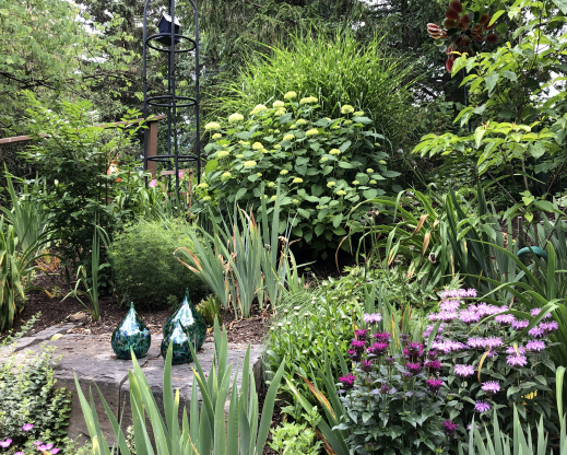 Len and Cindy Lions’ garden