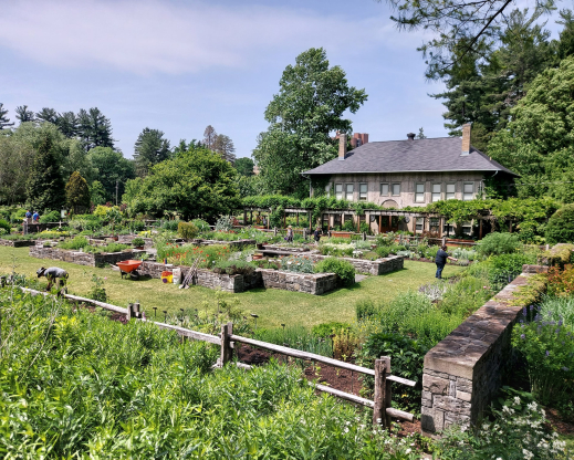 Herb garden at Cornell Botanic Gardens. Photo by Eleftherios Dariotis. 