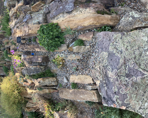 Crevice bed at Betty Ford Alpine Garden