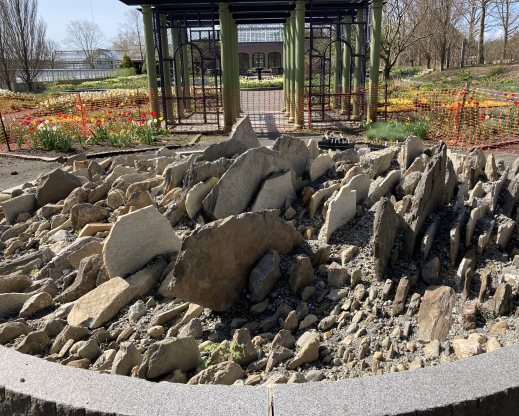 The final, planted  garden