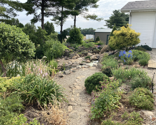 Esther’s garden in the summer