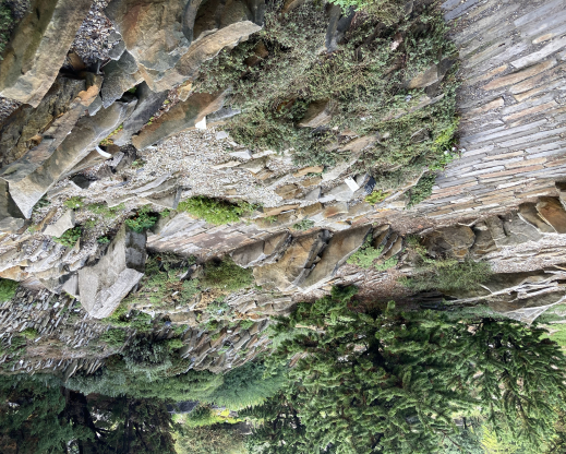 Crevice garden designed by Zdeněk Zvolánek  at the Montreal Botanical Garden
