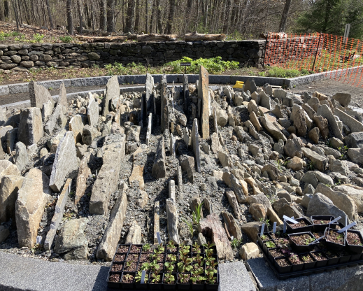 The crevice structure built and ready for planting