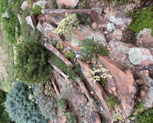 Part of Carol and Randy Shinns’ rock garden