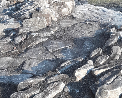 Flat stones serve as a walkway through the garden