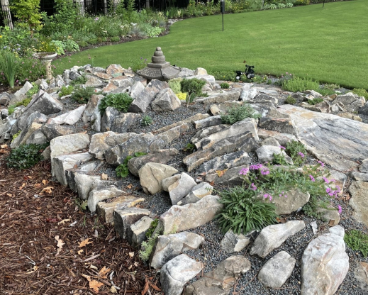 The new garden ten weeks after planting. 