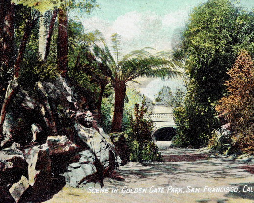 A turn-of-the-century postcard looking north from the rockery to the Conservatory of Flowers in the distance.’
