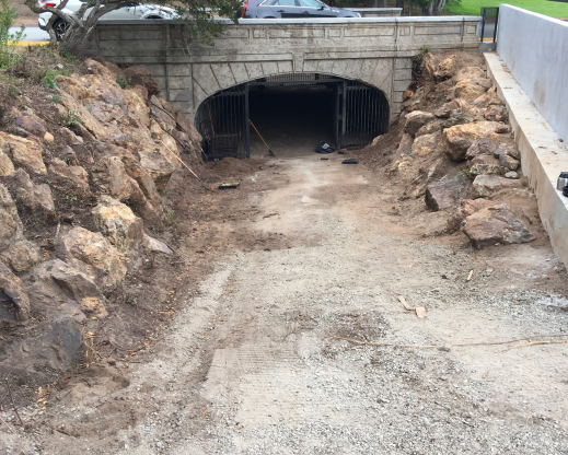 The South Rockery after it was cleaned up.