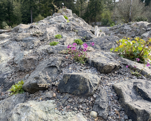 Views of the new Heronswood rock garden.