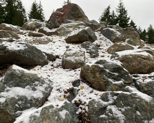 The rock garden in the snow