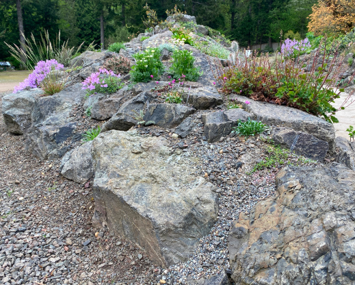Views of the new Heronswood rock garden.