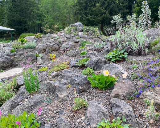 Views of the new Heronswood rock garden.