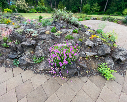 Views of the new Heronswood rock garden.