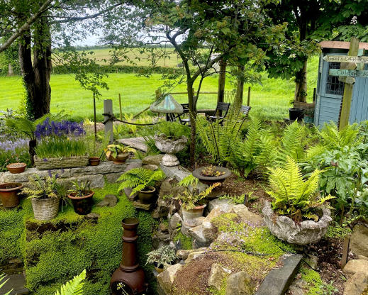 Looking down into the completed fernery