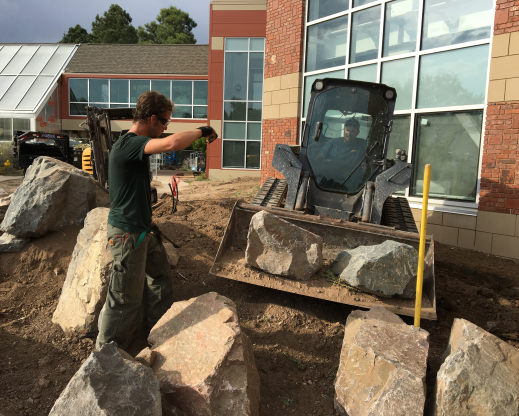 Placing the rocks for the crevice garden.